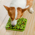 Tall Tails Foraging Mat For Dogs Clover - Poudre Pet & Feed Supply 4