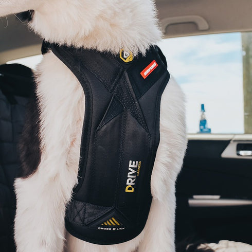 Ezy Drive Dog Harness Medium Black - Poudre Pet & Feed Supply 3