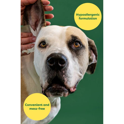 Earth Rated Dog Ear Cleansing Wipes 60ct - Poudre Pet & Feed Supply 3