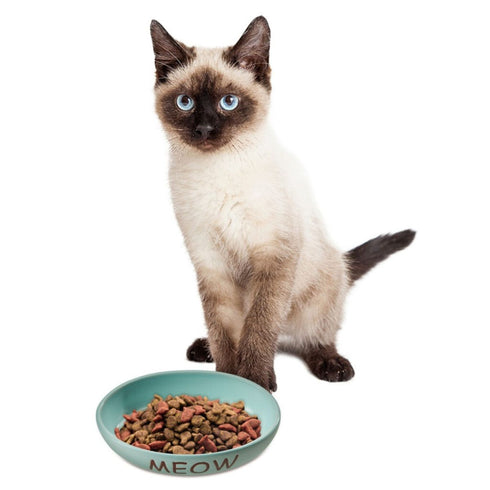Spot Portofino Blue Dish Oval Cat 6" - Poudre Pet & Feed Supply 2