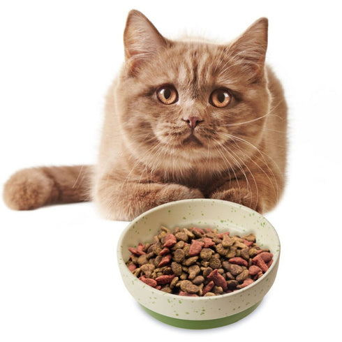 Spot Bowl Sedona Spruce Green Cat Dish 5" - Poudre Pet & Feed Supply 2
