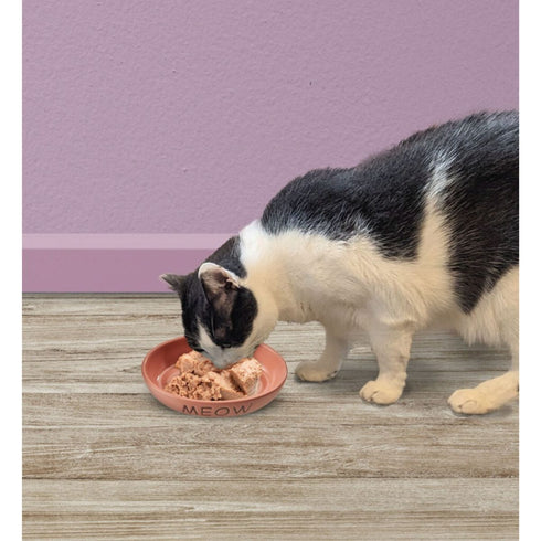 SPOT Bowl Portofino Pink 6" Cat Bowl - Poudre Pet & Feed Supply 2