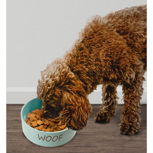 Spot Bowl Portofino Sky Blue Dog Dish 5" - Poudre Pet & Feed Supply 2