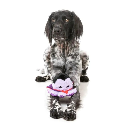 Fuzzyard Stumpy Dractopus Dog Toy - Poudre Pet & Feed Supply 3