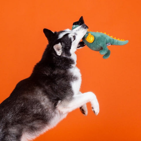 Fringe Candy Rex Doy Toy - Poudre Pet & Feed Supply 4