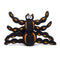 Fab Halloween Floppy Spider Dog Toy Small - Poudre Pet & Feed Supply