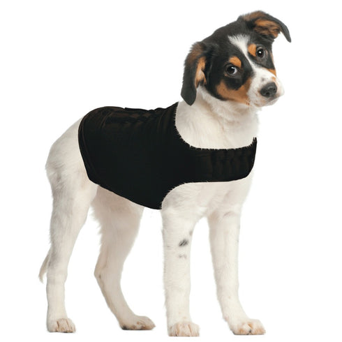 ZenPet ZenDog+ Compression Shirt Large - Poudre Pet & Feed Supply 2