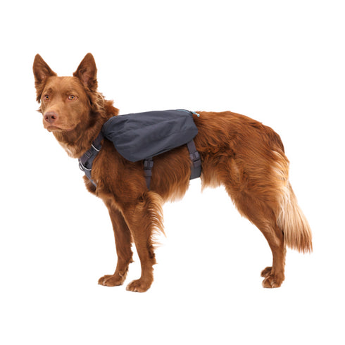 RuffWear Front Range Day Pack Small Basalt Gray - Poudre Pet & Feed Supply 2