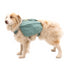 RuffWear Front Range Day Pack Small River Rock Green - Poudre Pet & Feed Supply 2