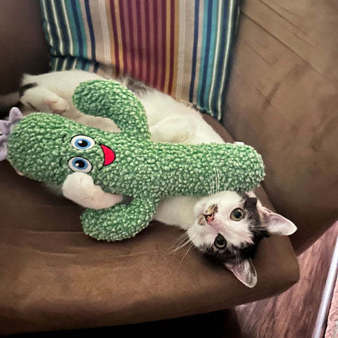 Kong Kickeroo Cactus Cat Toy - Poudre Pet & Feed Supply 2