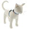 Lupine MicroBatch H-Style Cat Harness 1/2" x 9"-14" Surfs Up - Poudre Pet & Feed Supply