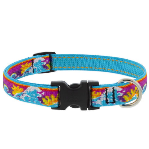 Lupine MicroBatch Dog Collar 3/4" x 13"-22" Surfs Up - Poudre Pet & Feed Supply