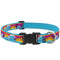 Lupine MicroBatch Dog Collar 1" x 16"-28" Surfs Up - Poudre Pet & Feed Supply