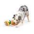 Huxley & Kent Seek 'n Treat Sunflower Pawt Dog Toy Small - Poudre Pet & Feed Supply 4