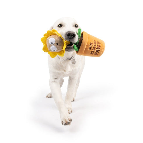 Huxley & Kent Seek 'n Treat Sunflower Pawt Dog Toy Large - Poudre Pet & Feed Supply 2