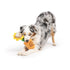 Huxley & Kent Seek 'n Treat Sunflower Pawt Dog Toy Large - Poudre Pet & Feed Supply 3