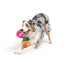 Huxley & Kent Seek 'n Treat Rosie Pawt Dog Toy Large - Poudre Pet & Feed Supply 2