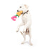 Huxley & Kent Seek 'n Treat Rosie Pawt Dog Toy Large - Poudre Pet & Feed Supply 4