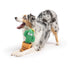 Huxley & Kent Seek 'n Treat Prickly Pawt Dog Toy Small - Poudre Pet & Feed Supply 6