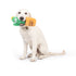 Huxley & Kent Seek 'n Treat Prickly Pawt Dog Toy Large - Poudre Pet & Feed Supply 2