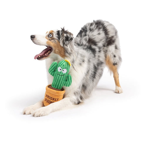 Huxley & Kent Seek 'n Treat Prickly Pawt Dog Toy Large - Poudre Pet & Feed Supply 6