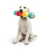 Huxley & Kent Fetchies Caterpillar Dog Toy Small - Poudre Pet & Feed Supply 2