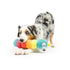 Huxley & Kent Fetchies Caterpillar Dog Toy Small - Poudre Pet & Feed Supply 4