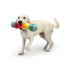 Huxley & Kent Fetchies Caterpillar Dog Toy Large - Poudre Pet & Feed Supply 3