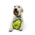 Huxley & Kent Pop 'n Fetch Avocado Dog Toy Small - Poudre Pet & Feed Supply 2