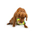 Huxley & Kent Pop 'n Fetch Avocado Dog Toy Small - Poudre Pet & Feed Supply 6