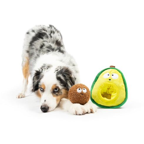 Huxley & Kent Pop 'n Fetch Avocado Dog Toy Large - Poudre Pet & Feed Supply 4