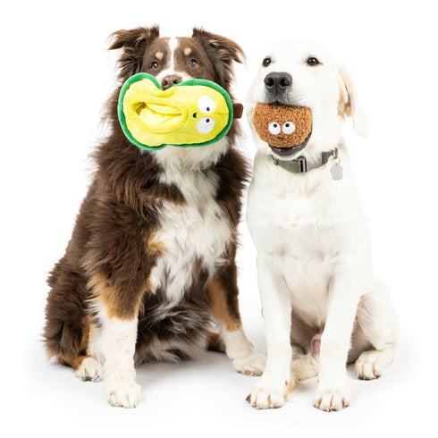 Huxley & Kent Pop 'n Fetch Avocado Dog Toy Large - Poudre Pet & Feed Supply 5