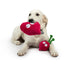 Huxley & Kent Pop 'n Fetch Beet Dog Toy Small - Poudre Pet & Feed Supply 4