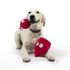 Huxley & Kent Pop 'n Fetch Beet Dog Toy Large - Poudre Pet & Feed Supply 3