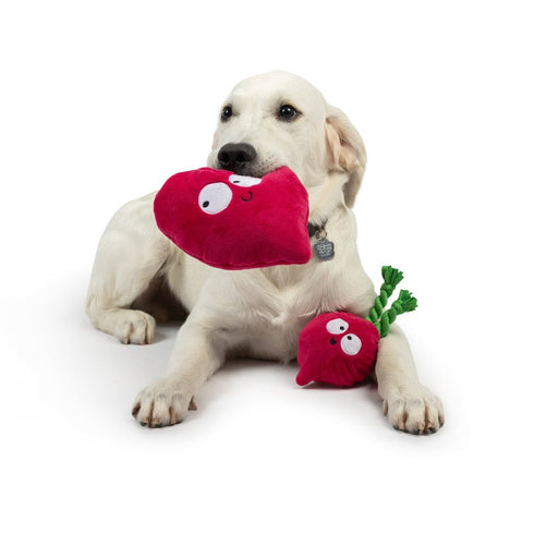 Huxley & Kent Pop 'n Fetch Beet Dog Toy Large - Poudre Pet & Feed Supply 4