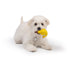 Huxley & Kent Tiny Tuff Bruiser Banana Dog Toy - Poudre Pet & Feed Supply 3