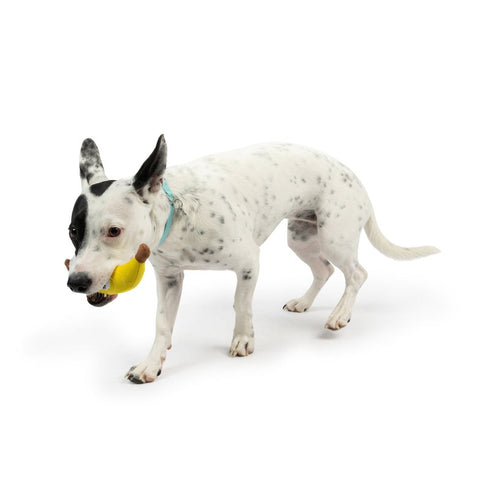 Huxley & Kent Tiny Tuff Bruiser Banana Dog Toy - Poudre Pet & Feed Supply 4