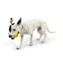 Huxley & Kent Tiny Tuff Bruiser Banana Dog Toy - Poudre Pet & Feed Supply 4