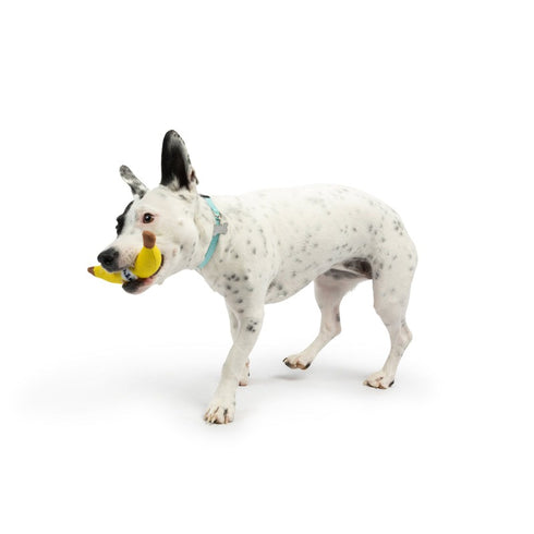 Huxley & Kent Tiny Tuff Bruiser Banana Dog Toy - Poudre Pet & Feed Supply 5