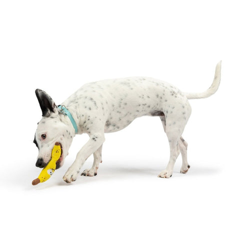 Huxley & Kent Tiny Tuff Bruiser Banana Dog Toy - Poudre Pet & Feed Supply 6