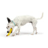 Huxley & Kent Tiny Tuff Bruiser Banana Dog Toy - Poudre Pet & Feed Supply 6