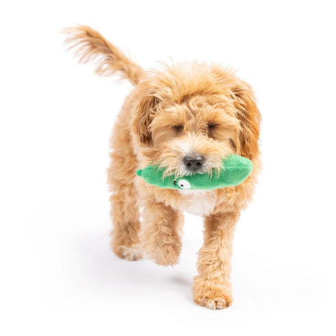 Huxley & Kent Tiny Tuff Dell Pickle Dog Toy - Poudre Pet & Feed Supply 2