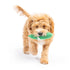 Huxley & Kent Tiny Tuff Dell Pickle Dog Toy - Poudre Pet & Feed Supply 2
