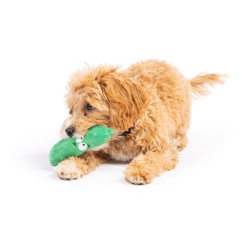 Huxley & Kent Tiny Tuff Dell Pickle Dog Toy - Poudre Pet & Feed Supply 4