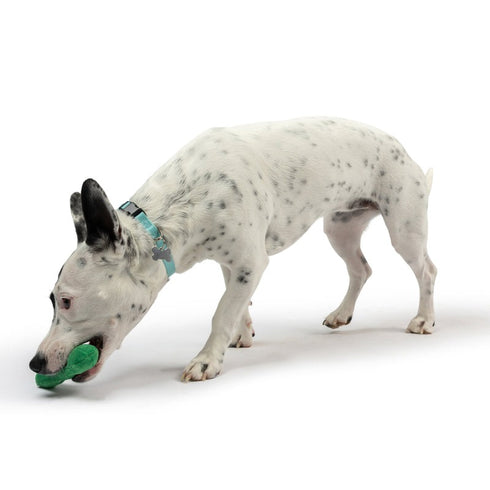 Huxley & Kent Tiny Tuff Dell Pickle Dog Toy - Poudre Pet & Feed Supply 6
