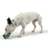 Huxley & Kent Tiny Tuff Dell Pickle Dog Toy - Poudre Pet & Feed Supply 6