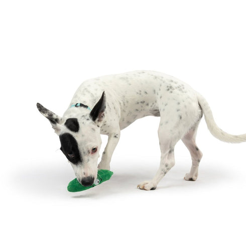 Huxley & Kent Tiny Tuff Dell Pickle Dog Toy - Poudre Pet & Feed Supply 7
