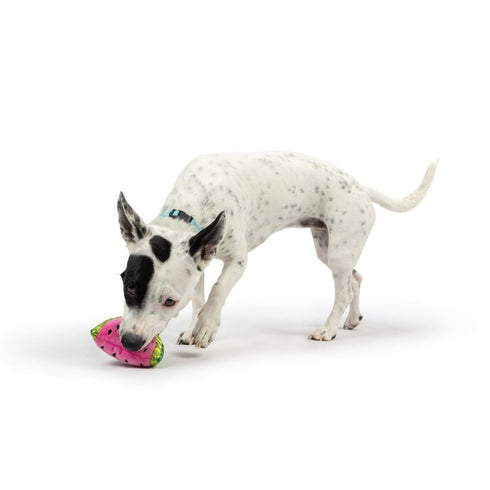 Huxley & Kent Tiny Tuff Walter Melon Dog Toy - Poudre Pet & Feed Supply 2