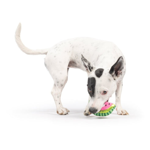 Huxley & Kent Tiny Tuff Walter Melon Dog Toy - Poudre Pet & Feed Supply 3