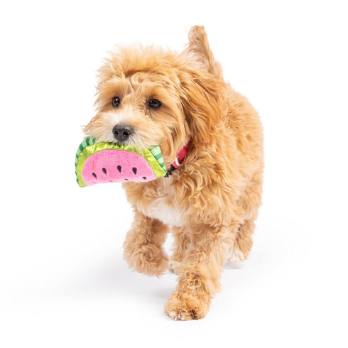 Huxley & Kent Tiny Tuff Walter Melon Dog Toy - Poudre Pet & Feed Supply 5